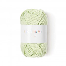 Fil Ricorumi réf.045 Vert pastel